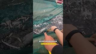 맨날 오시면 부담 스랍지예 #남해 #아쿠아리움 #팀장 #대전엑스포 #바다 #리액션
