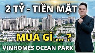 Vinhomes Ocean Park | Mua Gì Với 2 Tỷ Tiền Mặt ?