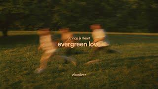 Strings And Heart - evergreen love [Visualizer]