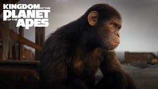 Kingdom of the Planet of the Apes | Bring Apes Home