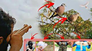 Slingshot Hunting Wild Birds 