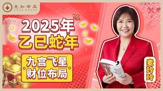 麦玲玲师傅详解2025乙巳蛇年：九宫飞星财位布局！