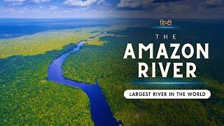 The Amazon River - Largest River in the World - [Hindi] - Infinity Stream