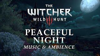 The Witcher Music & Ambience   Peaceful Night in Toussaint in 4K