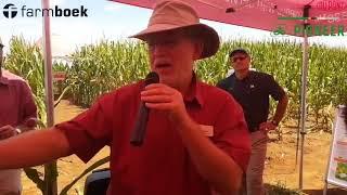 DuPont Pioneer SA: Bob Nielsen video 11 - Maize Series