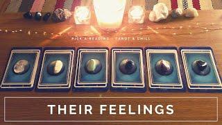 Their Feelings - Pick A Reading - Tarot & Chill