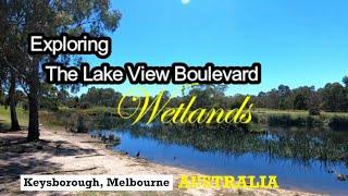 Exploring The Lake View Boulevard Wetlands - Keysborough, Melbourne