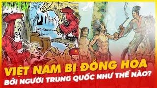 TRUNG QUỐC ĐÃ ĐỒNG HÓA VIỆT NAM NHƯ THẾ NÀO?