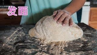 如何发面？|How to Let Dough Rise