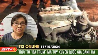 Truy tố "bà trùm" ma túy xuyên quốc gia Oanh Hà và đồng phạm | Bản tin 113 online ngày 11/10 | ANTV