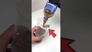 음료수 제발 이렇게 먹어보세요 (후회 안함)