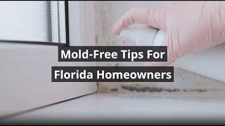 How To Prevent Mold In Florida’s Humid Climate: Expert Tips For Homeowners