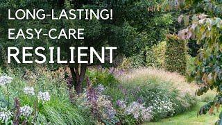 Why Ornamental Grasses Are the Secret to a Beautiful Border in 2024