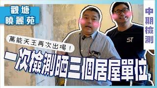 【觀塘 曉麗苑】一次過檢測晒三個居屋單位！｜萬能天王再次出埸講解tips｜泥水油漆 施工工序 環境 ｜中期檢測｜香港裝修維修｜ST梁師傅