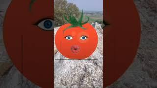 Tamater & Baingan Funny Video || Tomato || Brinjal