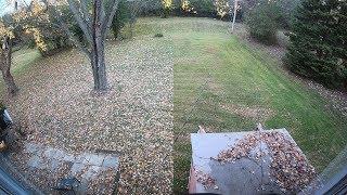 Mulching leaves time lapse