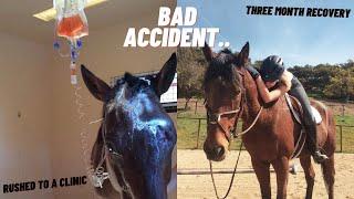 STORYTIME | Why My Horse Almost Didn't Make It...