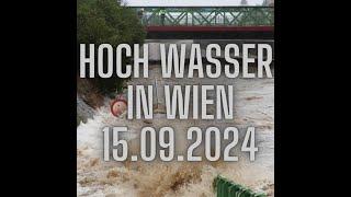 Hochwasser in wien österreich 15.09.2024 #wien #hochwasser #österreich