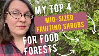 Top 4 Mid-Sized Food-Producing Shrubs for Food Forests (Temperate Climates)