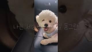 나는세상에서제일귀여운구름이?! #smartphone #200명가자
