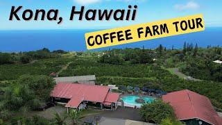 Kona, Big island of Hawaii/ Heavenly Hawaiian - The Best Coffee farm to Visit