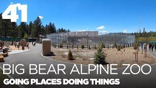 Big Bear Alpine Zoo — GPDT 41