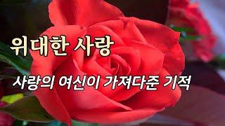 위대한 사랑 - 아기돌고래와 푸른파도 이야기