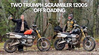 Two Triumph Scrambler 1200 XEs Taking a Lot of Punishment