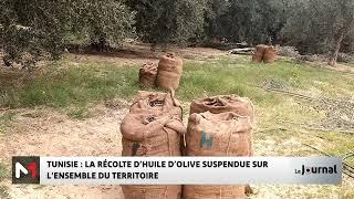 Tunisie : la récolte d´huile d´olive suspendue sur l´ensemble du territoire