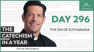 Day 296: The Sin of Euthanasia — The Catechism in a Year (with Fr. Mike Schmitz)