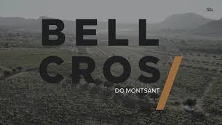 Bell Cros, more than wine, DO Montsant.