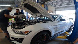 2021 Shelby GT500 CFTP Whipple 3.8L install with supporting mods.