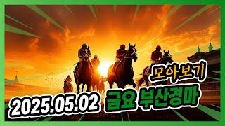 202５년 ５월 2일 금요 부산경마 전체경주 모아보기
