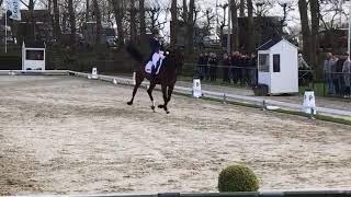 Charlotte Dujardin & Freestyle: 2 Track to the left, extended trot, collected trot