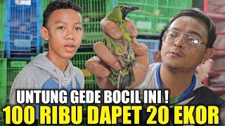 GA NYANGKA LIHAT CARA BOCIL INI DAPET BURUNG MURAH CUMA 5 RIBUAN DIKIOS ALHAMDULILLAH PB PRAMUKA