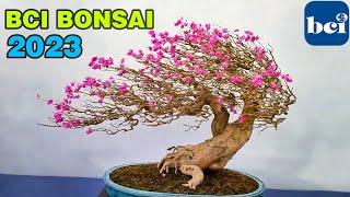 Triển lãm bonsai quốc tế BCI bonsai 2023 (Giang Tô, TQ)