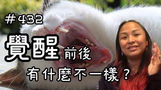 第四百三十二集  覺醒前後