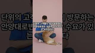 안양역상가 동물병원임대추천 /공유오피스추천 전용90평 2층 주차가능