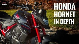 Ultimate Guide to Living With the 2023 Honda CB750 Hornet - In Depth Review