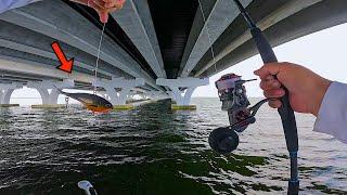 Fishing under HUGE! BRIDGES and DEEP! INLETS in PENSACOLA Bay! [Multiple Species]