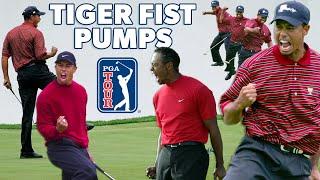 All the BEST Tiger Woods fist pumps!