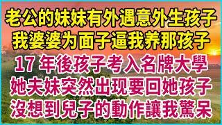 老公的妹妹有外遇意外生孩子，我婆婆为面子逼我养那孩子，17年後孩子考入名牌大學，她夫妹突然出现要回她孩子，沒想到兒子的動作讓我驚呆#生活經驗 #情感故事 #深夜淺讀 #幸福人生 #深夜淺談 #伦理故事