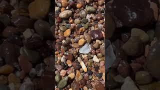 Clear sea glass. #beach #clear #SeaGlass