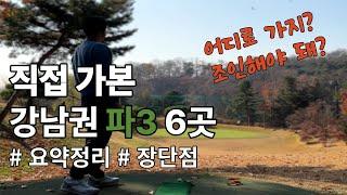 경기 수도권 강남권  파3 골프장 par 3 파쓰리 연습장 비교 정리 평점 장단점 직접 가본 후기 남양골프랜드 남서울cc파3 분당그린피아 서창 88cc 남부골프연습장