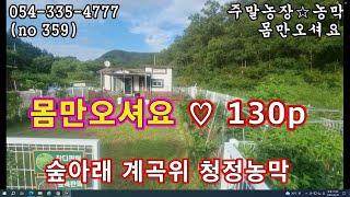 (NO 359) 다갖춘 예쁜 농막+밭  청정계곡 & 포장길 인접 영천땅 영천토지 영천부동산 영천급매 영천촌집 영천주택 영천농막