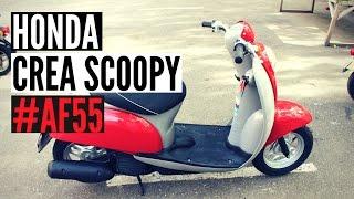 Скутер Honda Crea Scoopy 50 AF55 Digital dashboard - Walkaround, Kupiscooter.ru