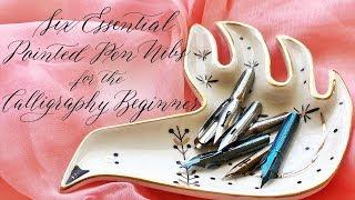 Six Essential Pointed Pen Nibs for the Calligraphy Beginner