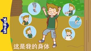 [4K] 这是我的身体 (This Is My Body) Single Story | Basic Concepts | Animation for Kids | LittleFox Chinese