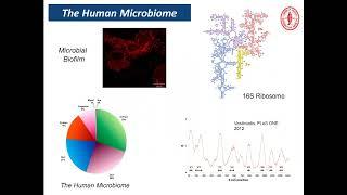 Grand Rounds - Assisted Reproductive Technology What Does the Future Hold