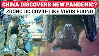 After ‘Mystery’ Virus, China Now Discovers New Bat Virus Capable Of Infecting Humans Via Covid Route